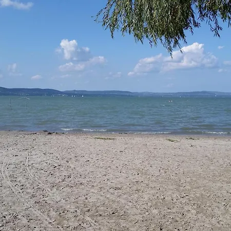 Szatmari Vendeghaz *