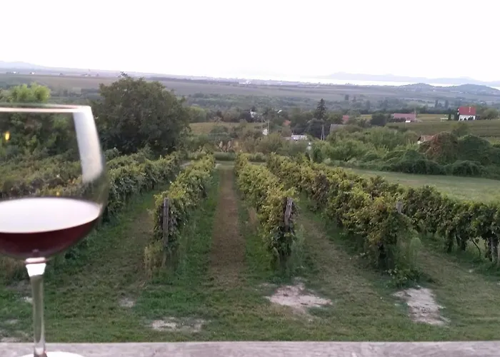 Szatmari Vendeghaz *